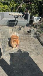 Honden bench, Ophalen of Verzenden, Zo goed als nieuw