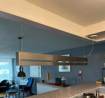 Industriële RVS Plafondlamp beschikbaar voor biedingen