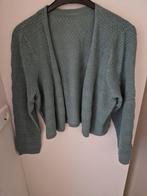 4 nieuwe vesten in mt 48 o.a. Cecil en Seasalt Cornwall, Ophalen of Verzenden, Nieuw, Maat 46/48 (XL) of groter, Groen