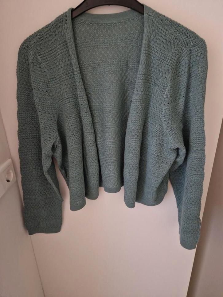 4 nieuwe vesten in mt 48 o.a. Cecil en Seasalt Cornwall, Kleding | Dames, Truien en Vesten, Nieuw, Maat 46/48 (XL) of groter, Groen