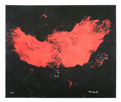 Armando (1929) Giclee op Doek " De Vleugels " Ges Gen, Antiek en Kunst, Kunst | Litho's en Zeefdrukken, Ophalen of Verzenden