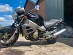 Honda x11, Motoren, Particulier