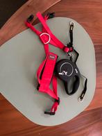 Tuigje voor kat. Met lange lijn., Dieren en Toebehoren, Katten-accessoires, Ophalen of Verzenden, Zo goed als nieuw