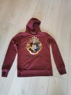 Harry Potter Hoody bordeaux rood maat M, Ophalen of Verzenden