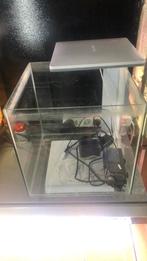 Superfish qubiuq 30 pro wit half jaar oud, Dieren en Toebehoren, Ophalen, Zo goed als nieuw, Leeg aquarium