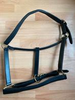 Nieuw! Zeer luxe leren halster met goud, Ophalen of Verzenden, Nieuw, Overige soorten