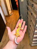 0.1 (wy) tremper luipaardgekko, Dieren en Toebehoren, Hagedis, 0 tot 2 jaar