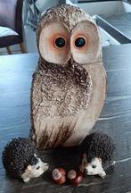 Mooie grote uil, egeltjes en vogeldrinkschaal, Meerdere dieren, Roofvogel