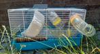 Hamsterkooi met veel buizen, Kooi, Minder dan 75 cm, Zo goed als nieuw, Hamster