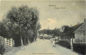 (380-219-043) Renesse Hooge Zoom beschikbaar voor biedingen