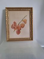 Schilderijtje van lampionplant, Ophalen, Minder dan 50 cm, Gebruikt, Schilderij