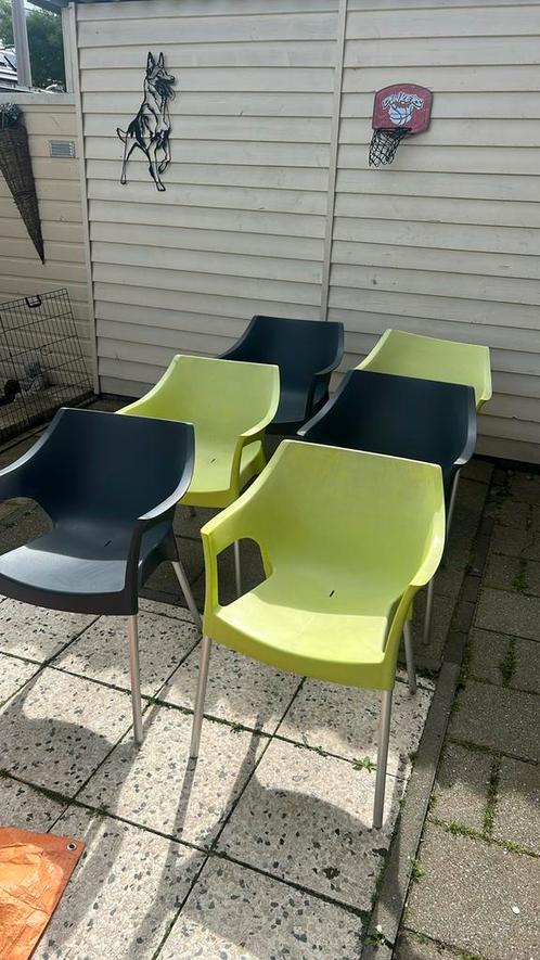 Tuinstoelen Dd Pole 6 st opstapelbaar, Tuin en Terras, Tuinstoelen, Zo goed als nieuw, Kunststof, Stapelbaar, Ophalen