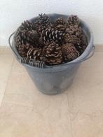 Emmer vol dennenappels voor insectenhotel, Ophalen of Verzenden, Gebruikt