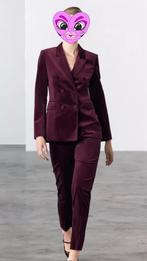 Zara Blazer Pak - Maat L - Nieuw!, Ophalen of Verzenden, Nieuw, Maat 42/44 (L), Kostuum of Pak