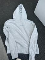 Amy & Ivy sweater maat S, Kleding | Dames, Ophalen of Verzenden, Maat 36 (S), Grijs, Amy & Ivy