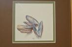 Aquarel 'Mosselschelpen' Hans Hohmann 2007, Antiek en Kunst, Ophalen of Verzenden