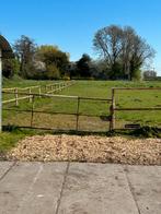 Plek vrij voor pony / klein paard, Dieren en Toebehoren, Weidegang, 1 paard of pony