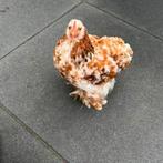 Mooi jong cochin haantje, Mannelijk, Kip