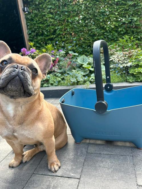 Basil Buddy hondenfietsmand Mik, Dieren en Toebehoren, Honden | Bulldogs, Pinschers en Molossers, Meerdere dieren, Overige rassen