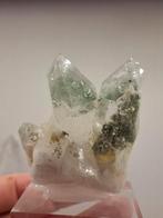 Kwarts met Chloriet uit India, Verzamelen, Dierenverzamelingen, Ophalen of Verzenden, Nieuw, Overige soorten, Beeldje of Figuurtje