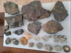 Fossielen collectie, Ophalen, Fossiel