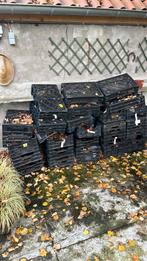 Zwarte kratten van de kweker, Ophalen, Doos, 60 cm of meer, Minder dan 35 cm