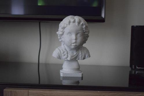 Buste gemaakt van foto, Antiek en Kunst, Kunst | Beelden en Houtsnijwerken, Ophalen of Verzenden