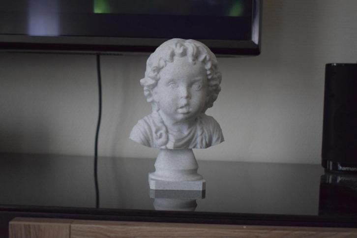 Buste gemaakt van foto, Antiek en Kunst, Kunst | Beelden en Houtsnijwerken, Ophalen of Verzenden