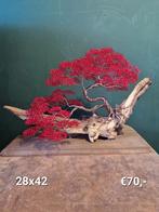 Aluminium bonsai boompjes., Nieuw, Ophalen