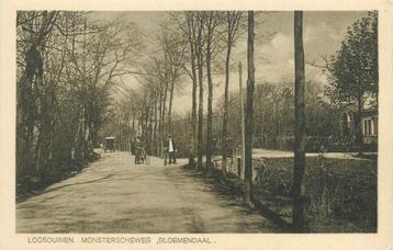 (304-210-007) Loosduinen Monsterscheweg Bloemendaal beschikbaar voor biedingen
