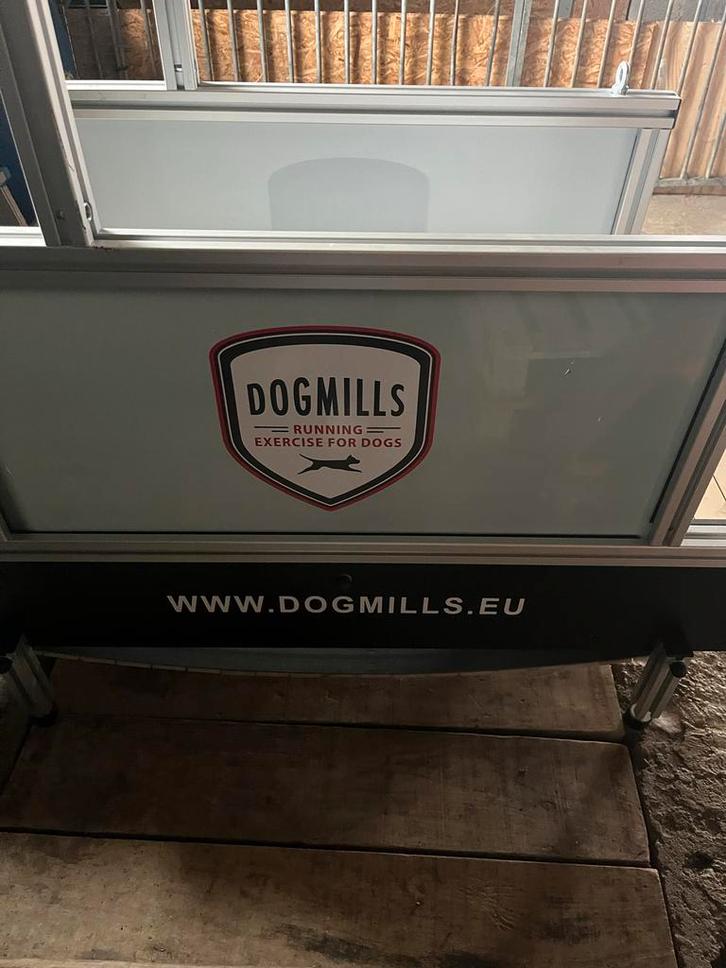 Loopband voor hondentraining, Dieren en Toebehoren, Honden-accessoires, Nieuw, Ophalen