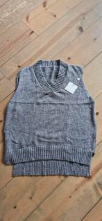 Grijze Spencer - Maat L - Langer achter, Ophalen of Verzenden, Zo goed als nieuw