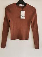 ZARA ribtrui met schoudervullingen mt. S, Bruin, Verzenden, Zara, Nieuw
