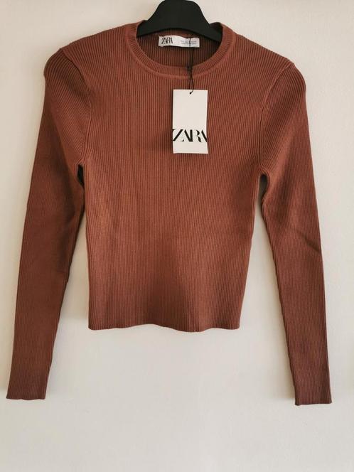 ZARA ribtrui met schoudervullingen mt. S, Kleding | Dames, Truien en Vesten, Nieuw, Maat 36 (S), Bruin, Verzenden