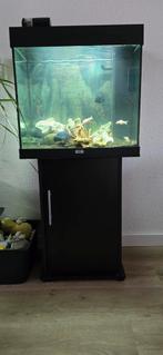 Juwel aquarium 120liter incl. Vissen, schildpad en......, Dieren en Toebehoren, Vissen | Aquaria en Toebehoren, Ophalen, Zo goed als nieuw