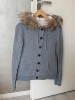 Duffeljas maat / S, Kleding | Dames, Truien en Vesten, Ophalen of Verzenden, Zo goed als nieuw, Maat 36 (S), Grijs