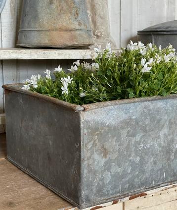 Brocante oud zinken bak / kistje  beschikbaar voor biedingen