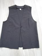 Gilet maat 48, Verzenden, Zo goed als nieuw, Maat 46/48 (XL) of groter, Grijs