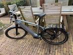 Koga PACE B05 GENTS (RIGID) SIZE M 750Wh, Fietsen en Brommers, Ophalen, Nieuw, 50 km per accu of meer, Overige merken