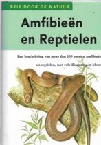 Amfibieen en reptielen, Ophalen of Verzenden, Zo goed als nieuw, Reptielen of Amfibieën