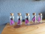 Vlinder vleugels in glazen flesjes. / vlinder vleugels, Ophalen of Verzenden, Nieuw, Overige soorten, Overige typen