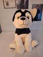 XXL husky knuffel, Ophalen, Gebruikt, Hond
