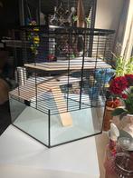 Knaagdieren kooi, Dieren en Toebehoren, Kooi, Minder dan 75 cm, Zo goed als nieuw, Hamster