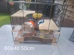 Hamsterkooi met heel veel extra's, Dieren en Toebehoren, Knaagdieren en Konijnen | Hokken en Kooien, Kooi, Gebruikt, Minder dan 75 cm