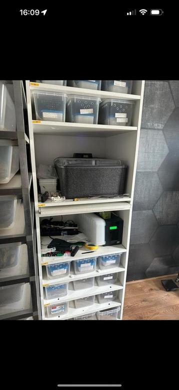 Reptile rack beschikbaar voor biedingen