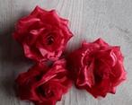 Corsages, Ophalen of Verzenden, Zo goed als nieuw, Accessoires