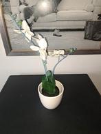 Mooie kunst Orchidee in pot., Ophalen of Verzenden, Zo goed als nieuw, Binnen
