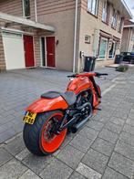 Harley Davidson Night Rod Special custom 300 band, 2 cilinders, Chopper, Particulier, Meer dan 35 kW
