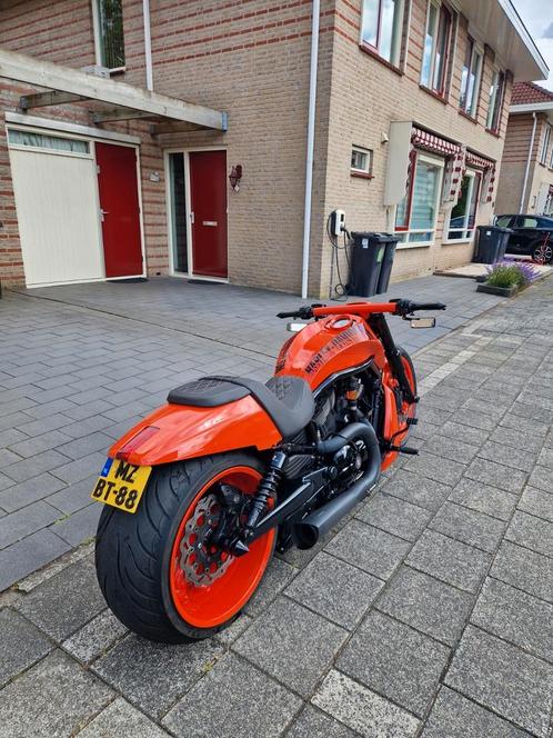 Harley Davidson Night Rod Special custom 300 band, Motoren, Motoren | Harley-Davidson, Particulier, Chopper, meer dan 35 kW, 2 cilinders