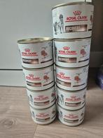 Royal Canin recovery natvoer, Dieren en Toebehoren, Ophalen of Verzenden, Kat